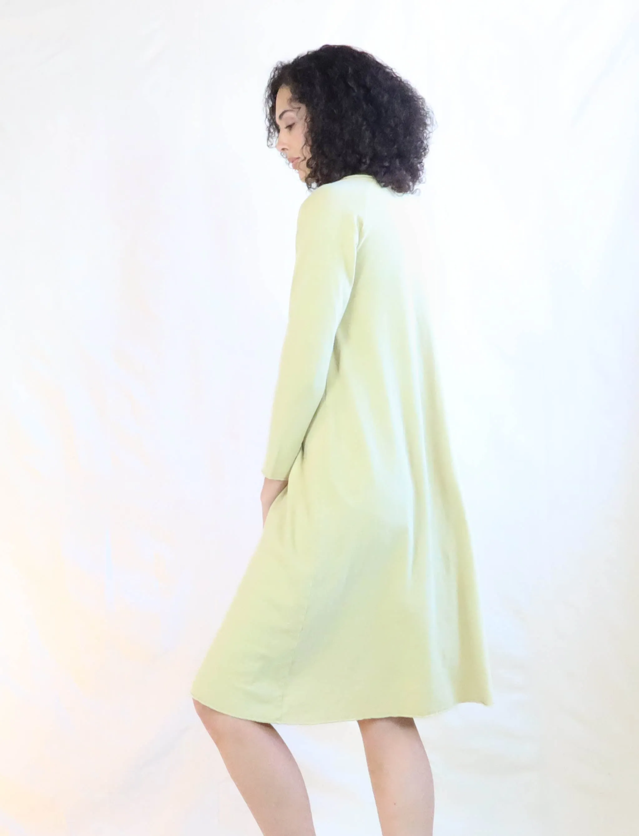 Crescent RAGLAN Sleeve Ojai Below Knee Dress