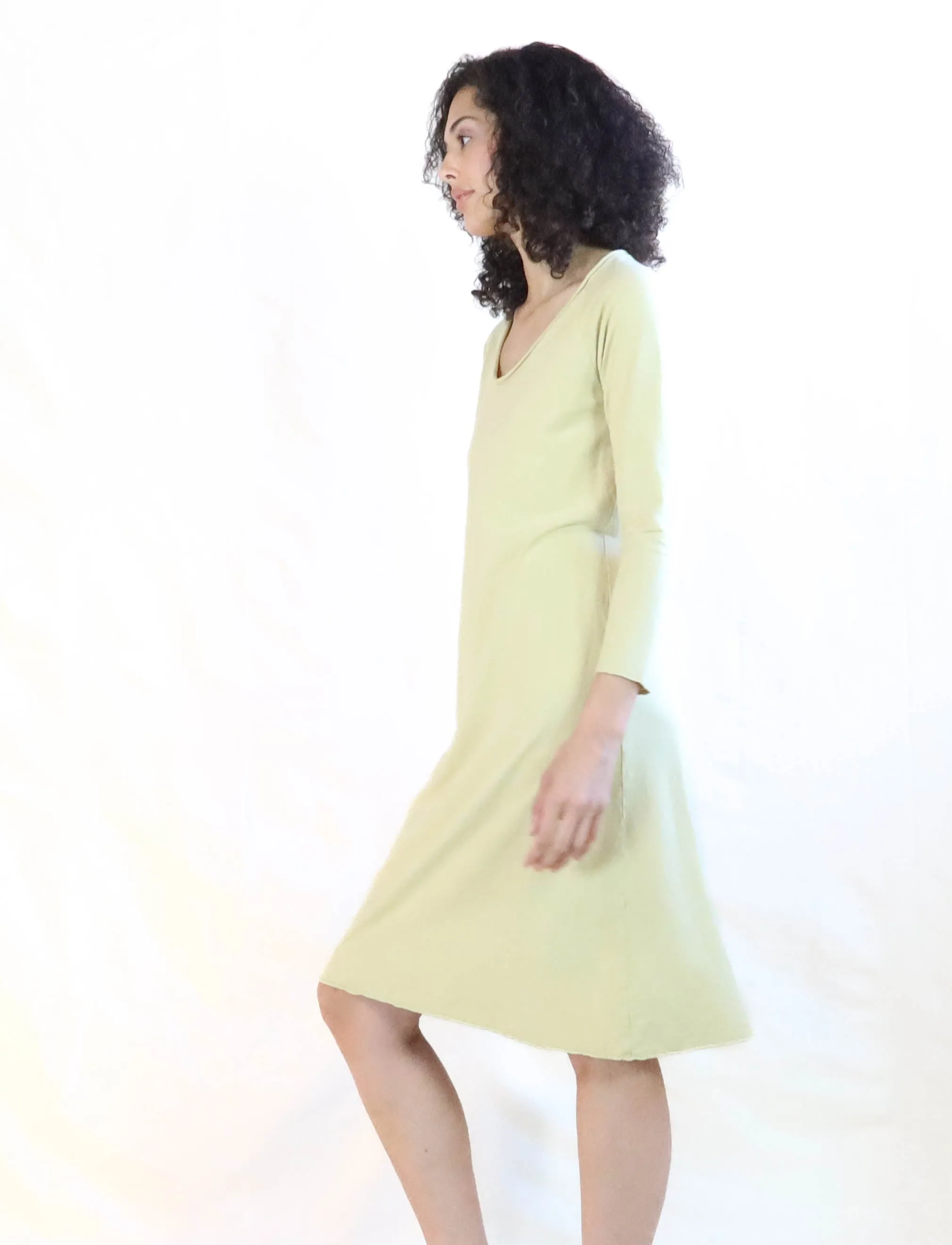 Crescent RAGLAN Sleeve Ojai Below Knee Dress