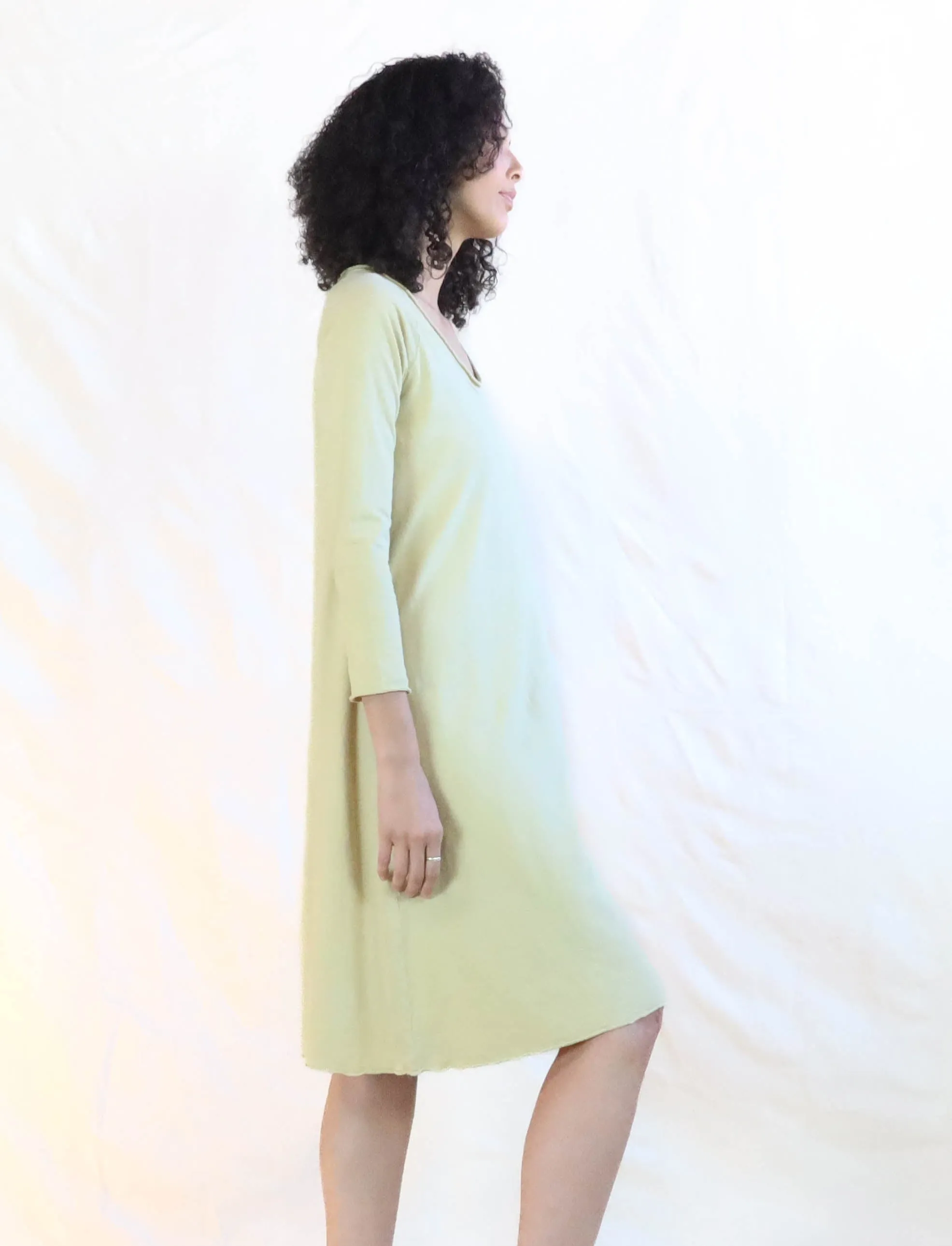 Crescent RAGLAN Sleeve Ojai Below Knee Dress