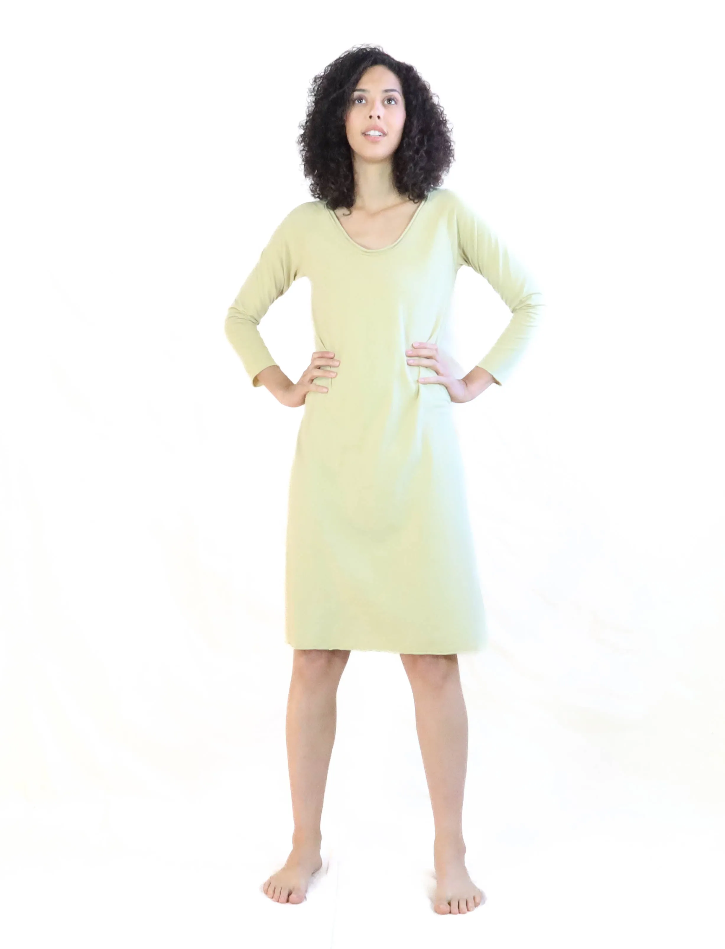 Crescent RAGLAN Sleeve Ojai Below Knee Dress