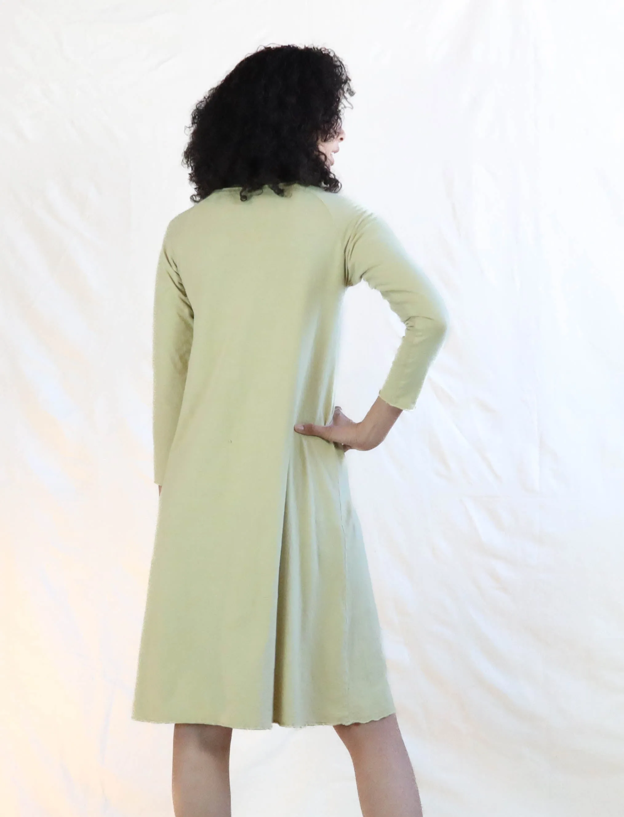 Crescent RAGLAN Sleeve Ojai Below Knee Dress