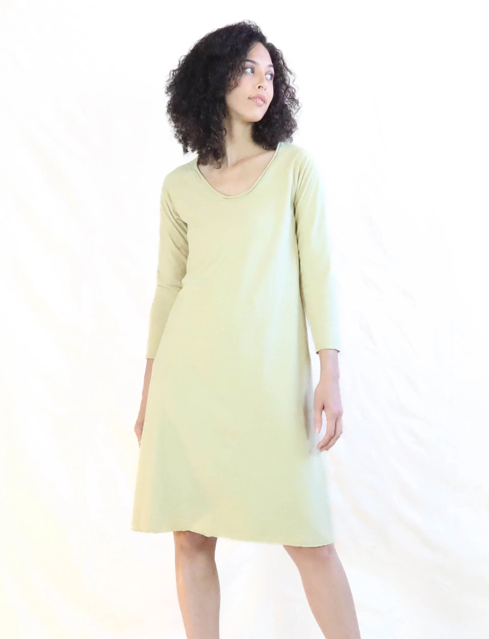 Crescent RAGLAN Sleeve Ojai Below Knee Dress